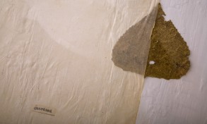 IMG_8576