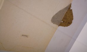 IMG_8586