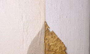 IMG_8589