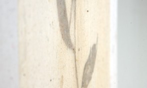 maria_cristina_ballestracci_33_1