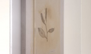 maria_cristina_ballestracci_33_5