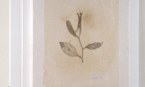 maria_cristina_ballestracci_33_8