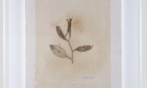 maria_cristina_ballestracci_33_9