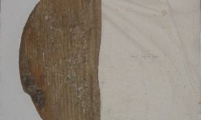 maria_cristina_ballestracci_foglie_7