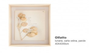 olfatto